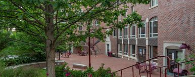 A DU building in summer with 2 tress at the front