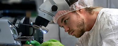 A man looking at microscope